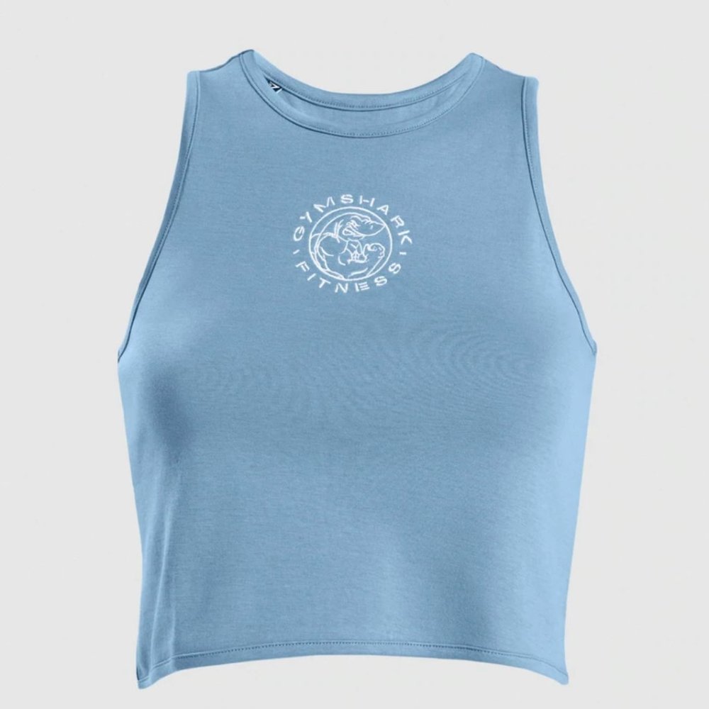 Gymshark Legacy Fitness Crop Top in Blue Stone
